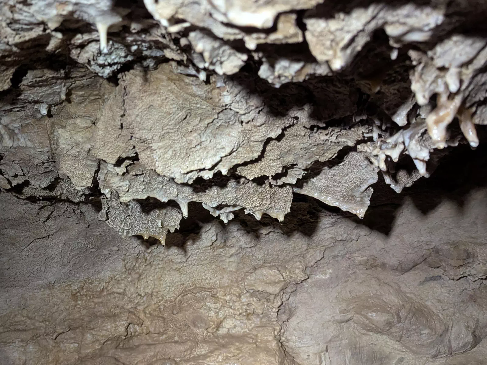 Sinterformationen an der Decke der Blätterteighöhle