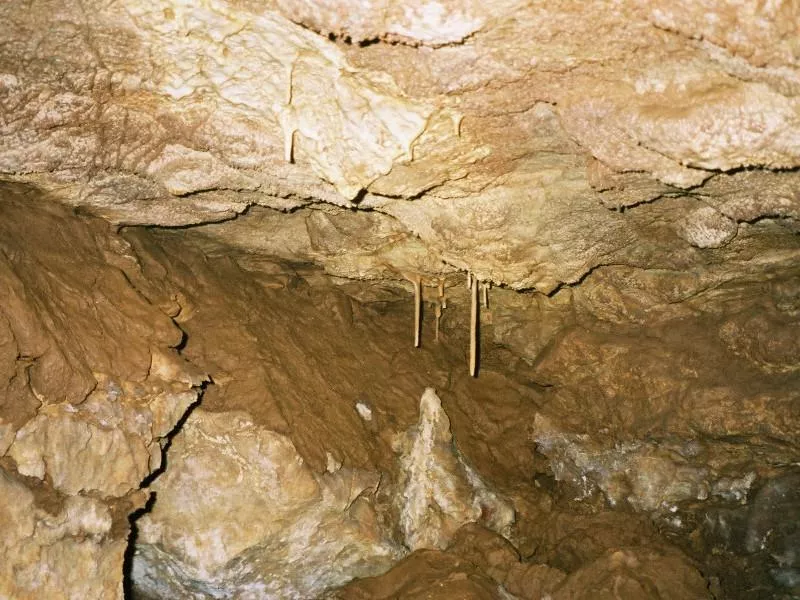 456 789 Blaetterteighoehle 09 800x600