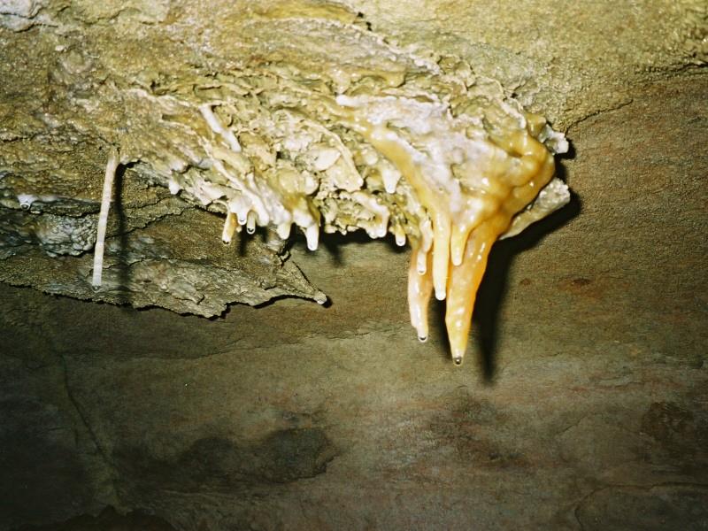 456 789 Blaetterteighoehle 16 800x600