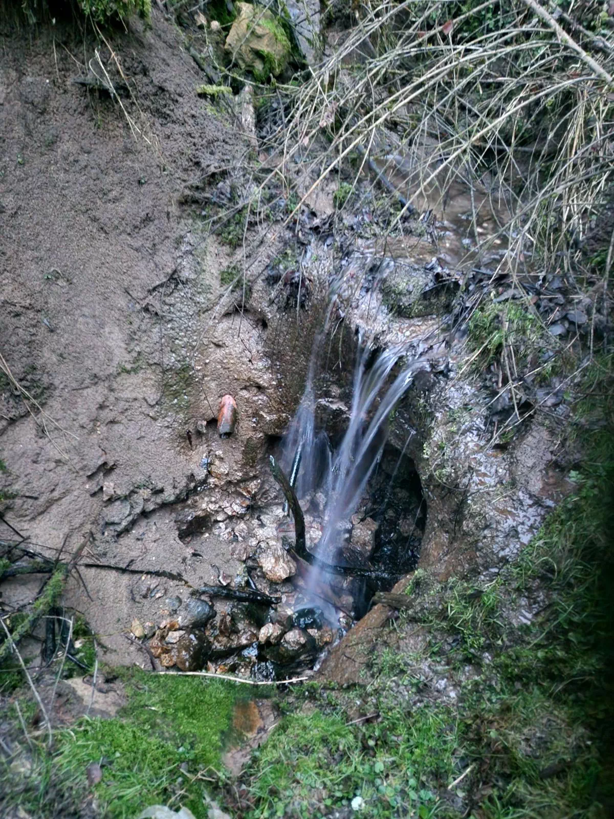 Dokumentiertes aktives Schluckloch im Wald
